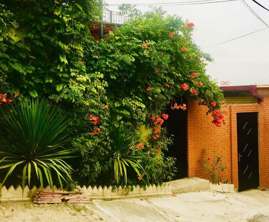 9 Borbalo Street Apartment With Terrace 第比利斯 外观 照片